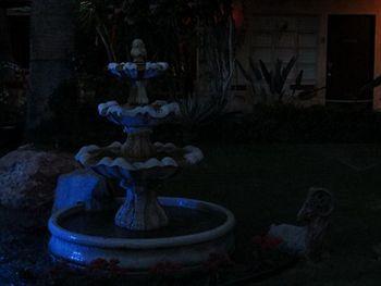 Desert Paradise Resort - Gay Men'S Resort Palm Springs Luaran gambar